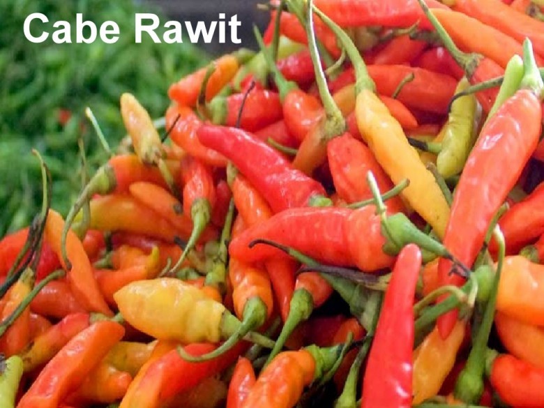 Kelewatan Banget Harga Cabai Melambung Pedagang Temukan Cabe Rawit Dicat Berwarna Merah Paragram Id Kelewatan Banget Harga Cabai Melambung Pedagang Temukan Cabe Rawit Dicat Berwarna Merah Paragram Id